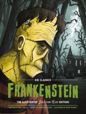 cover image of Frankenstein